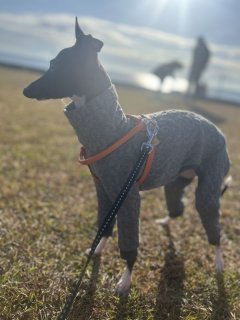 レビュー354-投稿画像2